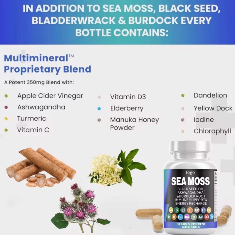Seaweed Oil Capsule Supplier - OEM 3000mg Black Seed Oil Multimineral Turmeric ACV