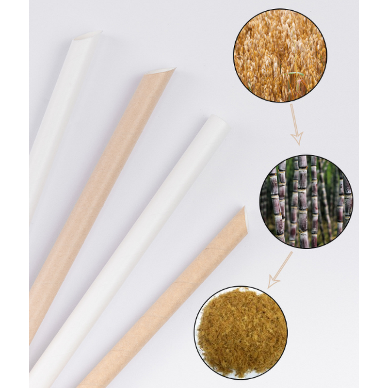 Biodegradable PLA Straws Manufacturer - Safe Eco-Friendly Christmas Disposable Reusable