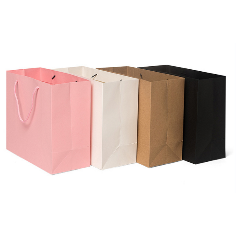 Paper Bag with Hand Rope Manufacturer - Custom Printing Different Type for Shopping