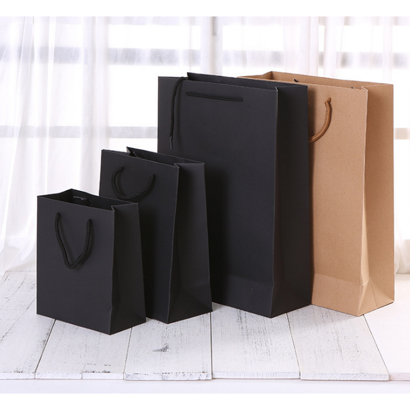 Paper Bag with Hand Rope Manufacturer - Custom Printing Different Type for Shopping