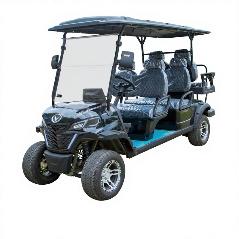 Electric Golf Cart Manufacturer - Cross border OEM