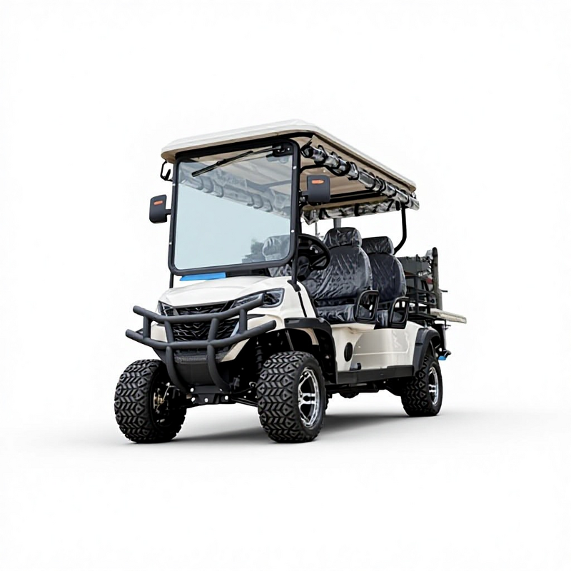 Electric Sightseeing Car Manufacturer - Scenic Area