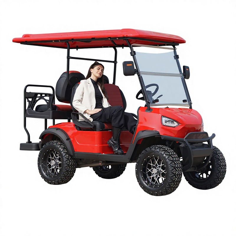 Electric Sightseeing Cart Manufacturer - New Model