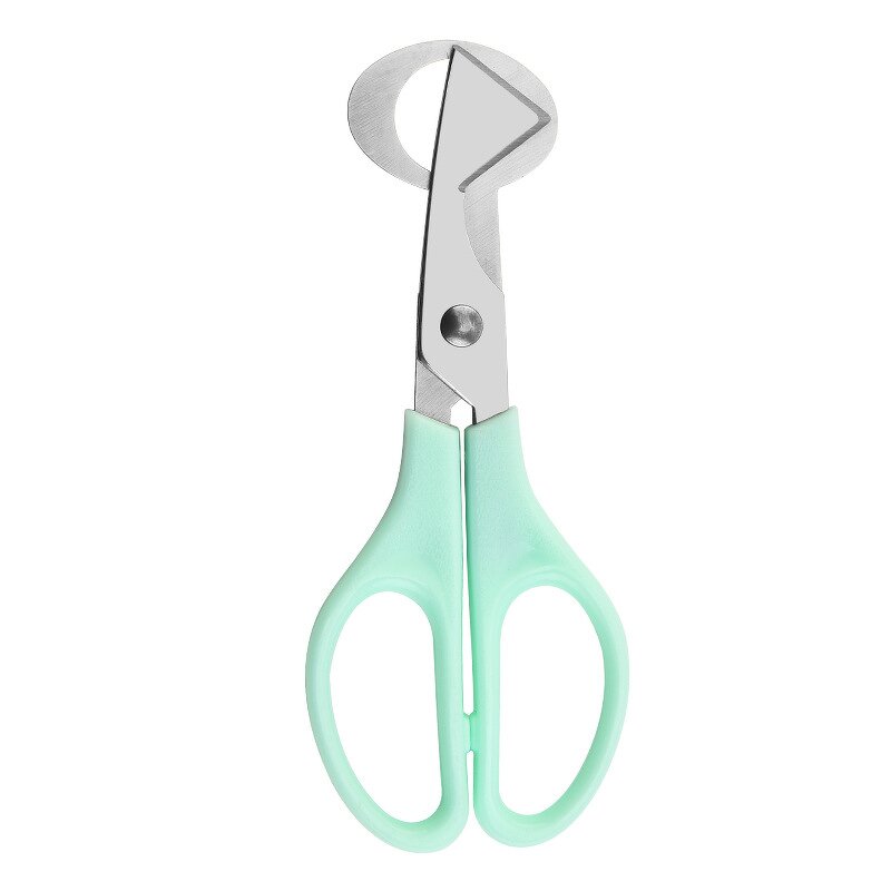 Quail Egg Scissors Manufacturer - Stainless Steel Cutter and Opener
