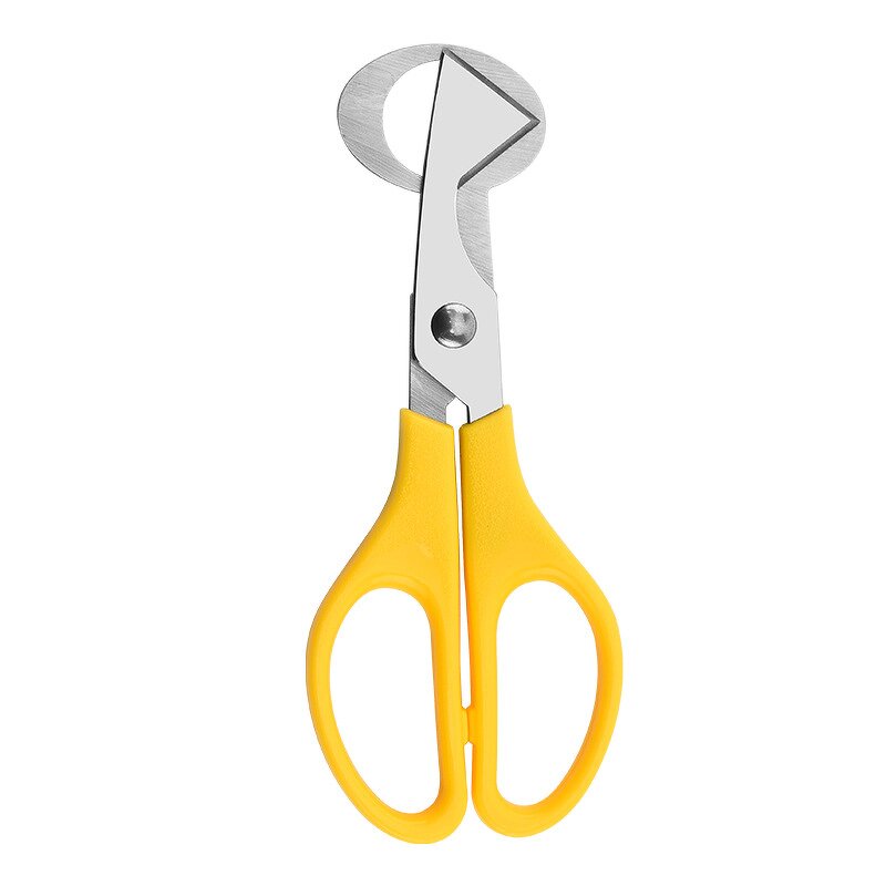 Quail Egg Scissors Factory - Stainless Steel Kitchen Shears Tool