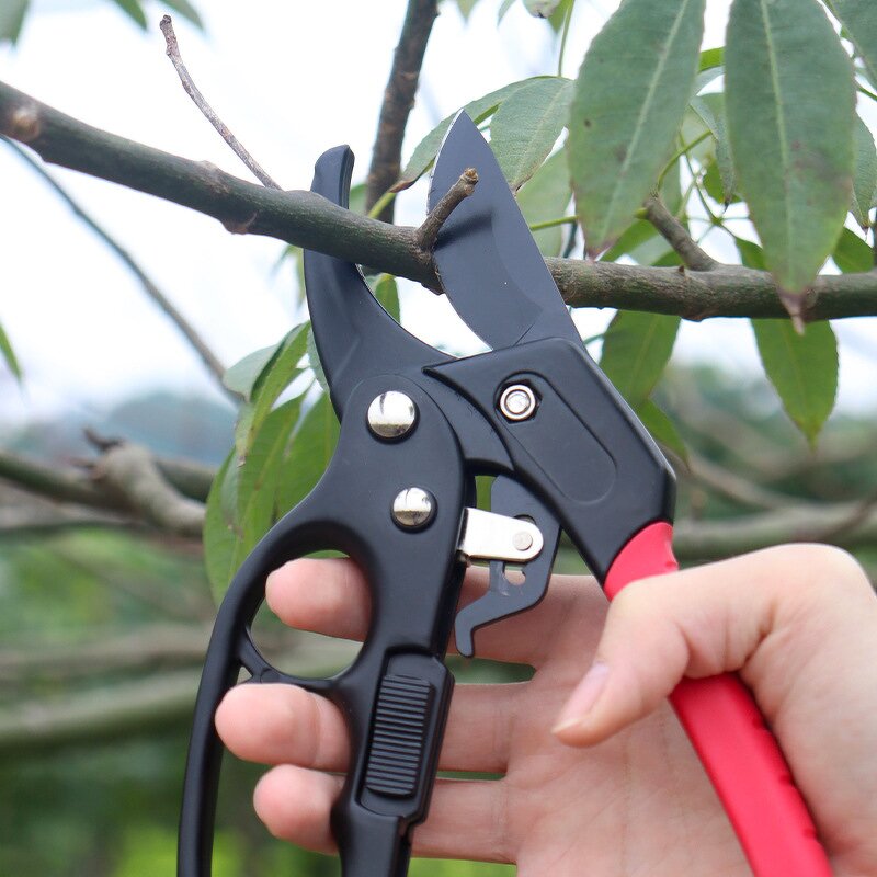 Garden Pruning Shears Manufacturer - Ergonomic Stainless Steel Precision Trim