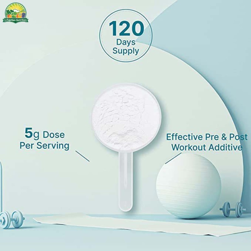 Creatine Powder Factory - OEM ISO 100 Muscle Building