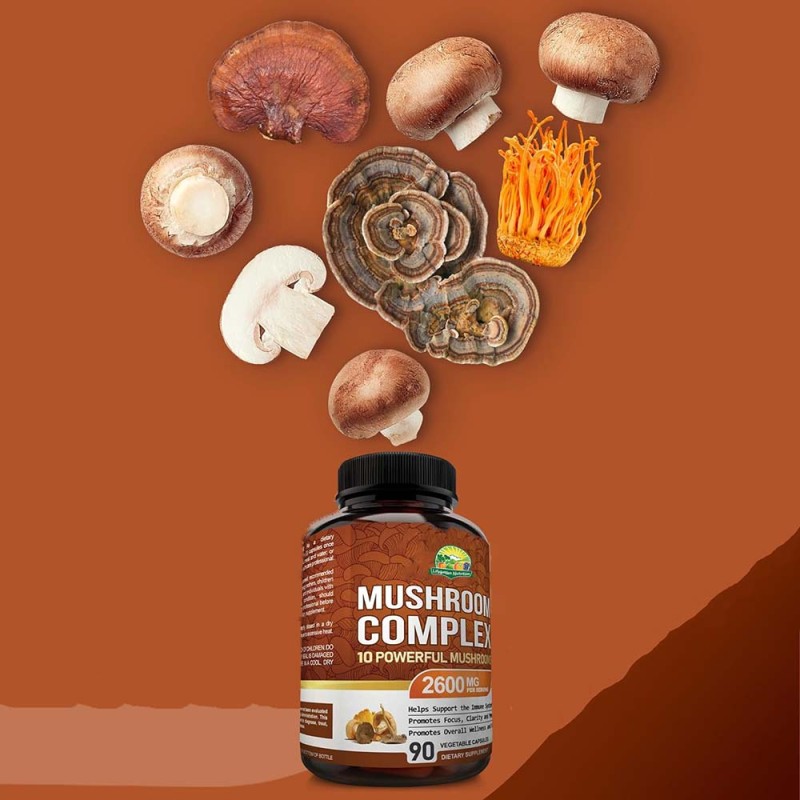 Brain Supplement Manufacturer - OEM Cordyceps Mushroom Capsules