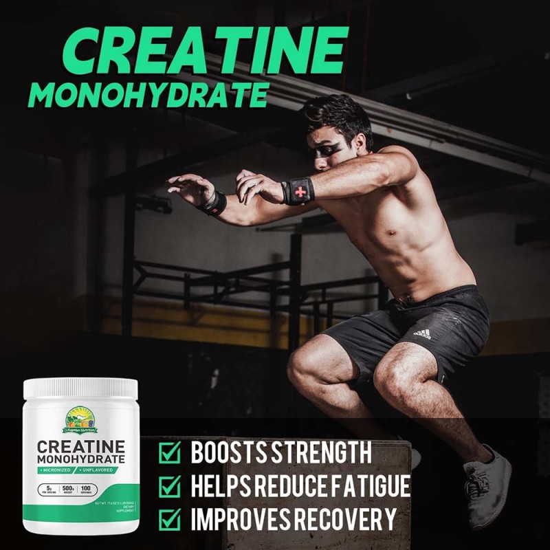 Creatine Powder Factory - OEM 99.99% Pure Micronized