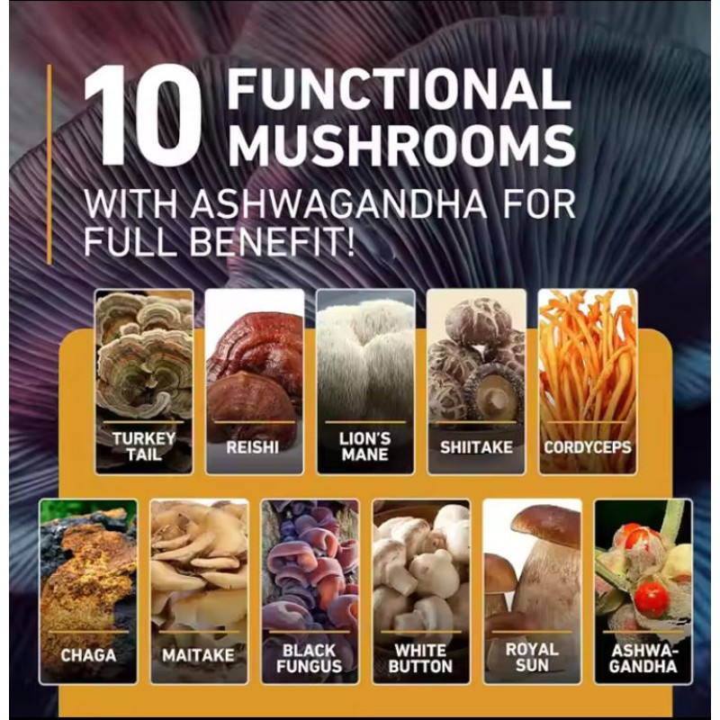 Mushroom Gummies Manufacturer - OEM Vegan Nootropic Candy