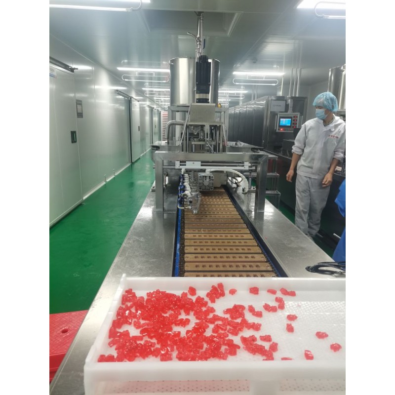 Mushroom Gummies Manufacturer - OEM Organic Brain Supplement