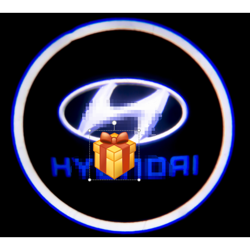 Car Door Light Manufacturer - 3W 12V Puddle