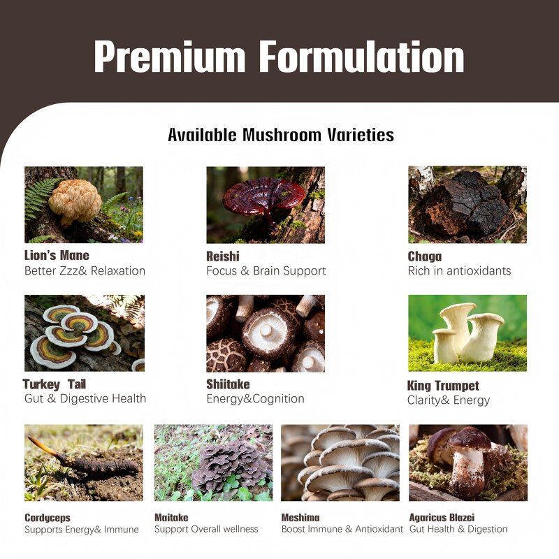 Mushroom Coffee Powder Factory - OEM Lion's Mane Reishi Cordyceps Focus