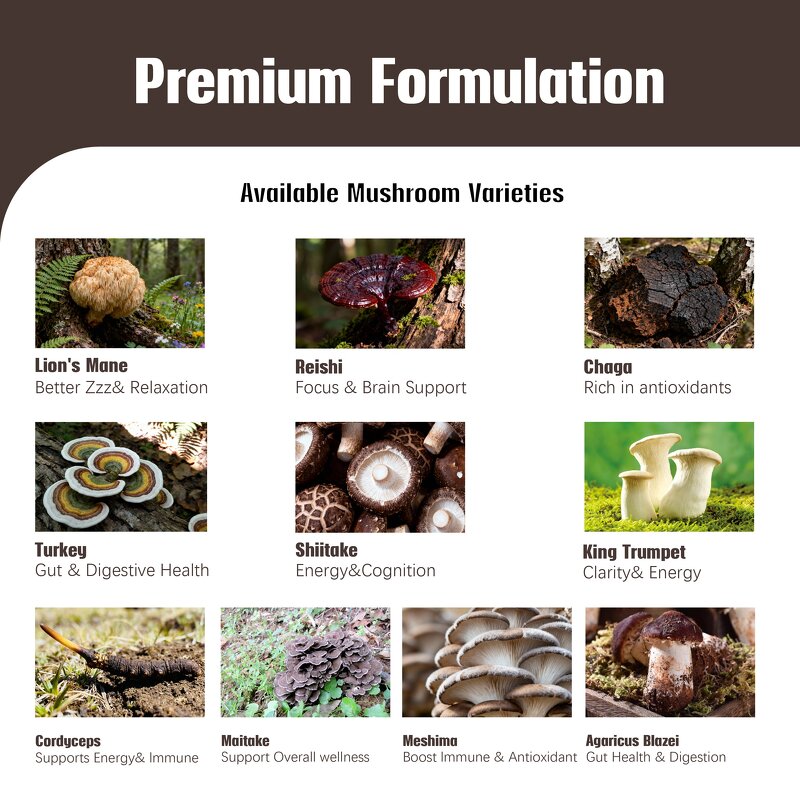 Sugar Free Mushroom Coffee Manufacturer - OEM Private Label Arabica Organic