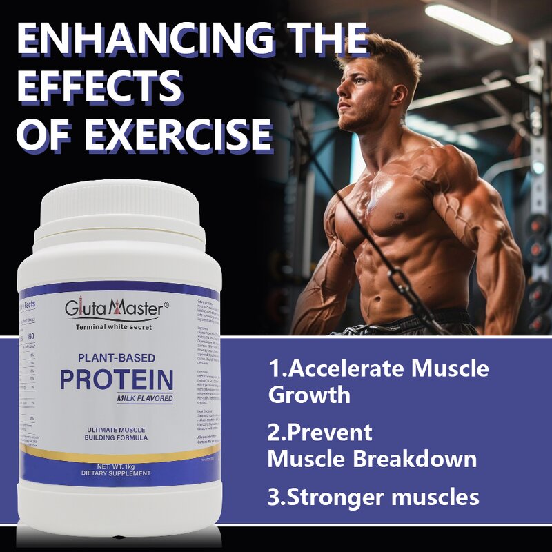 Whey Protein Powder Manufacturer - Muscle Supplement