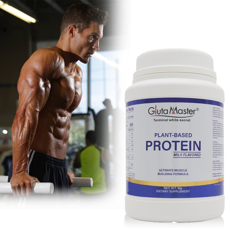 Whey Protein Powder Manufacturer - Muscle Supplement