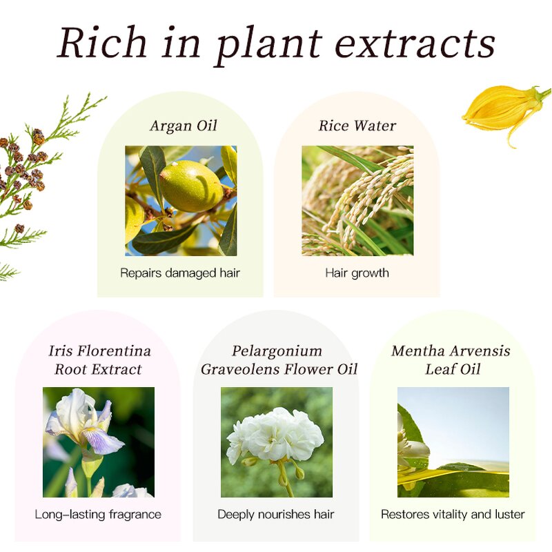 Hair Care Set Manufacturer - OEM Anti Dandruff