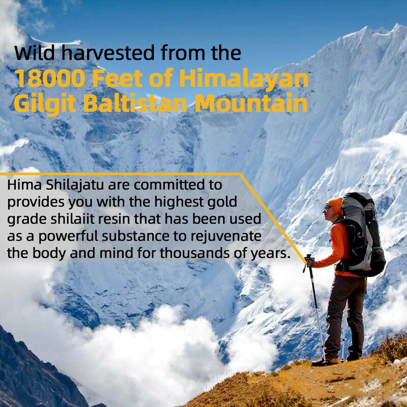 Shilajit Resin Oil Manufacturer - Natural Liquid