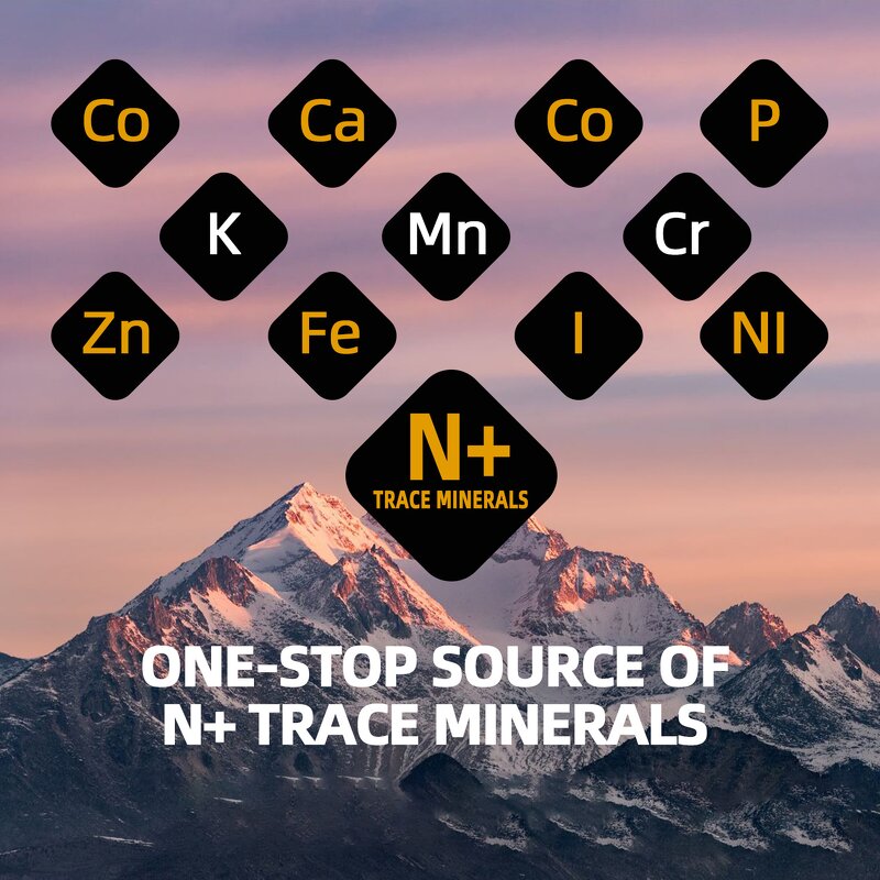 Shilajit Paste Manufacturer - Pure Himalayan Private