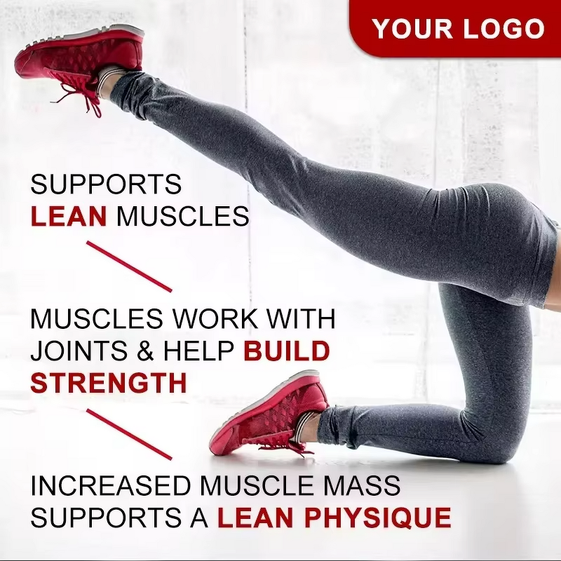 Mass Gainer Powder Manufacturer - Fast Weight Gain