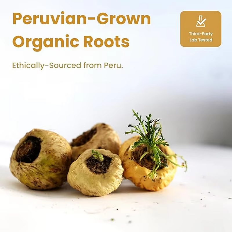 Maca Ginseng Capsules Manufacturer - XXXXL Energy