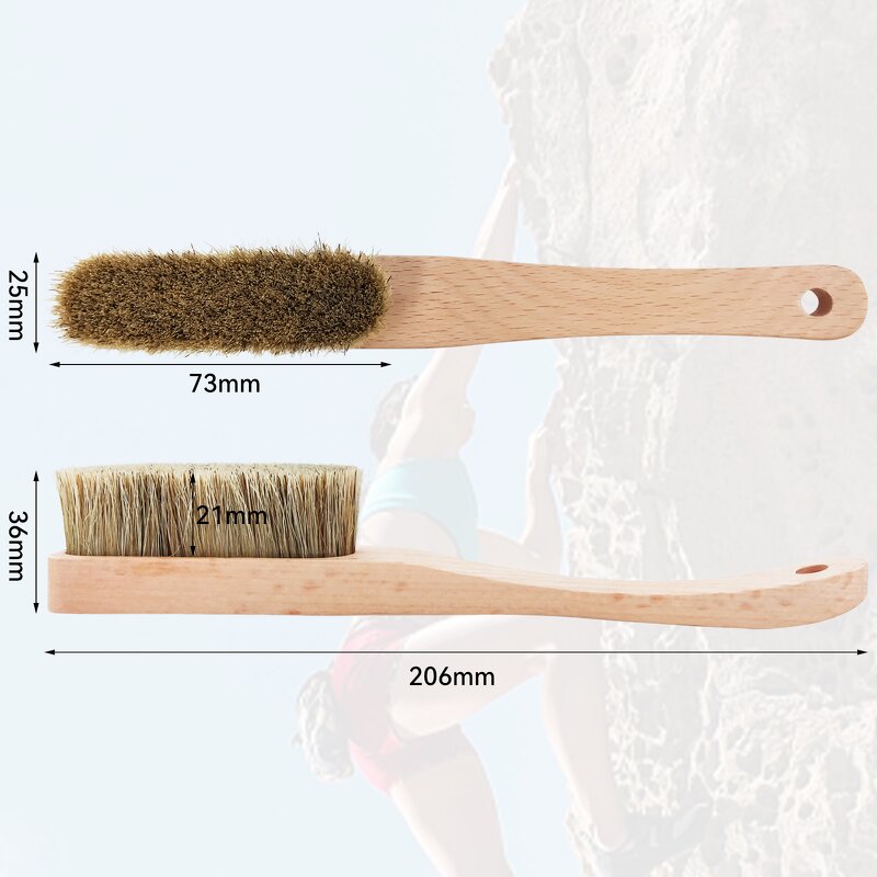 Sports Boulder Brush Manufacturer - Beech Wood Handle Boar's Bristle