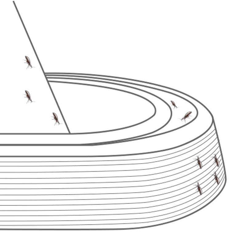 PVC Bed Bug Interceptors Manufacturer - 4-in-1 Set Over-Coated