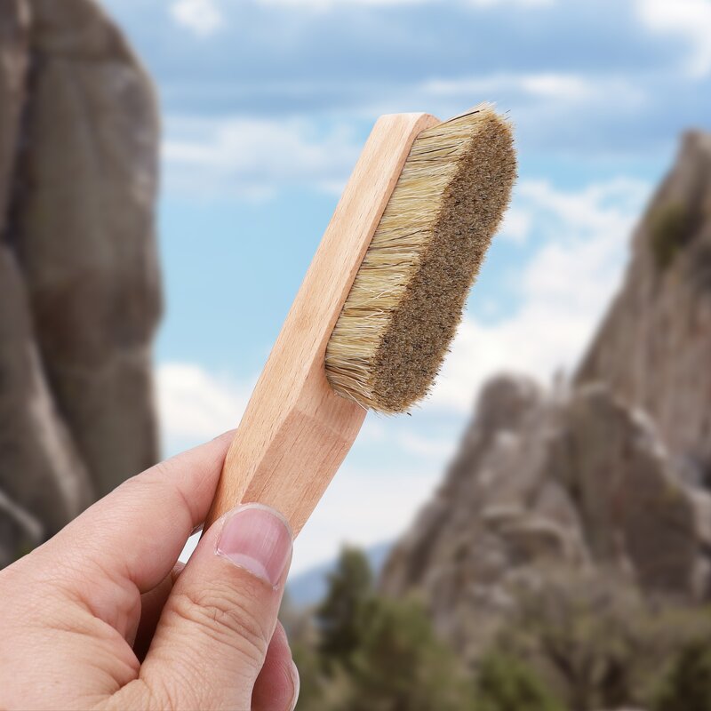 Sports Boulder Brush Manufacturer - Beech Wood Handle Boar's Bristle