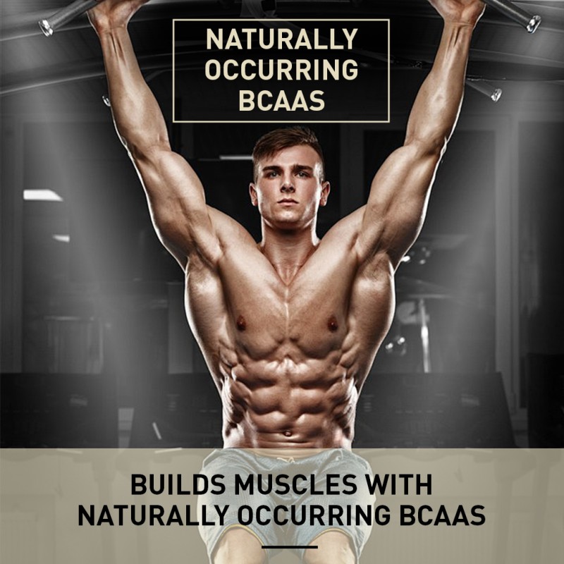 Private Label Source Factory Adult Protein Powder Instant Dosage Form