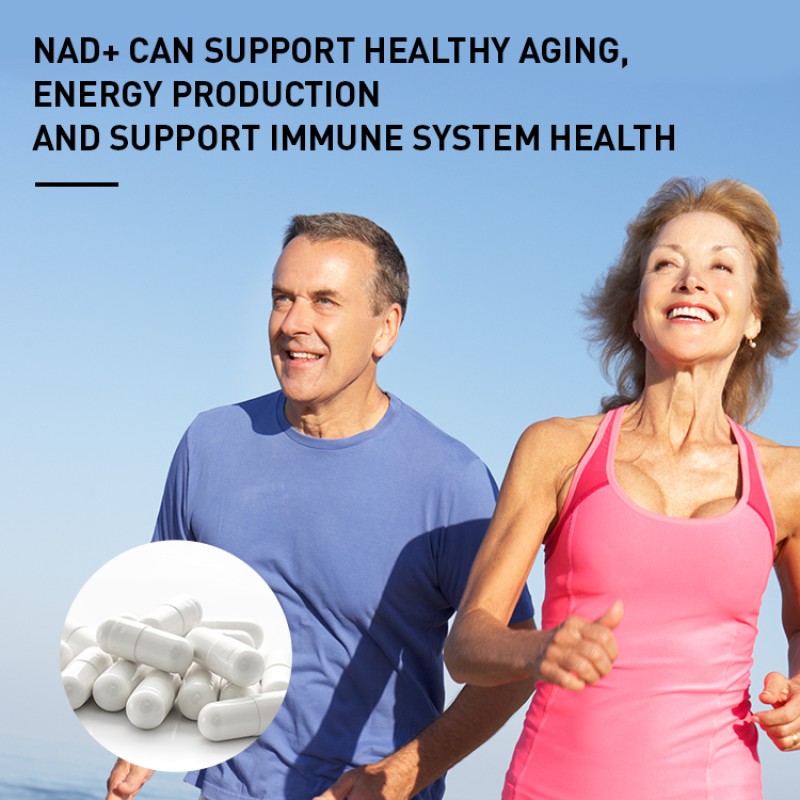 Private Label Wholesale Price Nad Capsule Hot Selling Health Supplement Veratrol Nicotinamide Fortified Dietary Adults