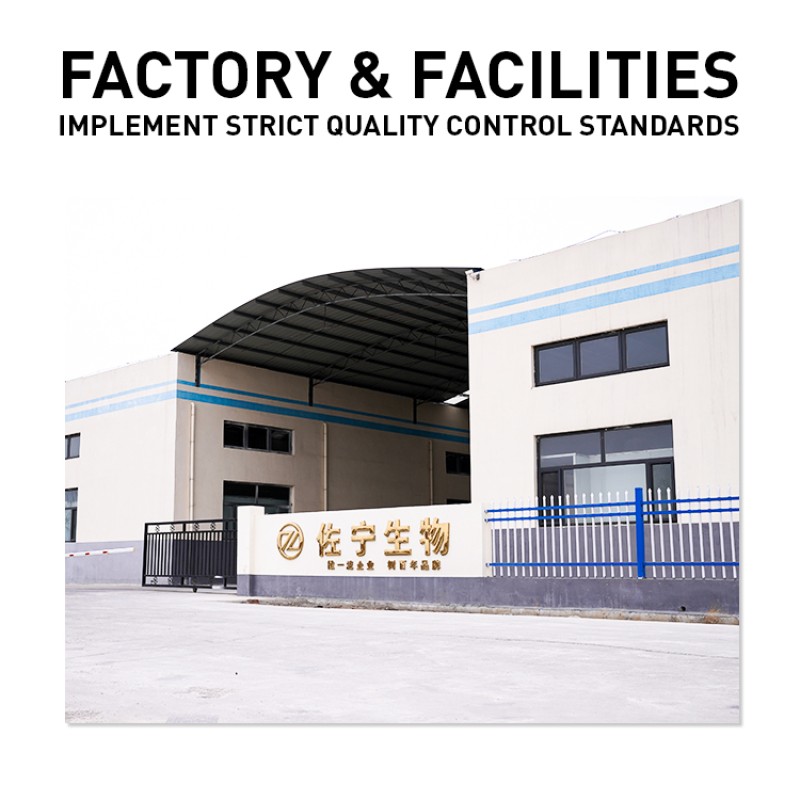 Custom Protein Powder - Personalized Whey or Vegan Shake | Choose Your Flavors & Macros | For Gym & Recovery