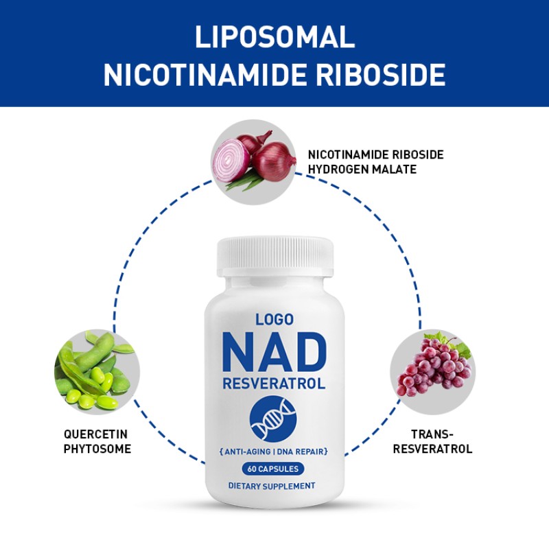Private Label Wholesale Price Nad Capsule Hot Selling Health Supplement Veratrol Nicotinamide Fortified Dietary Adults