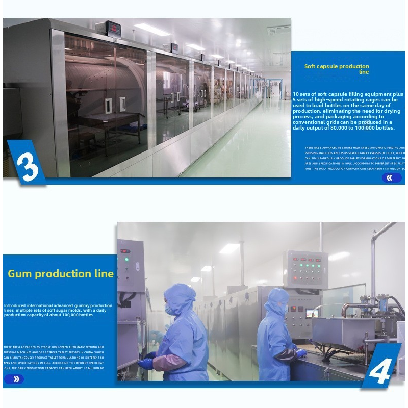 GMP Certified 800mg Easy-Swallow Maca Tablets OEM Herbal Supplements for Hormone Balance and Libido Support