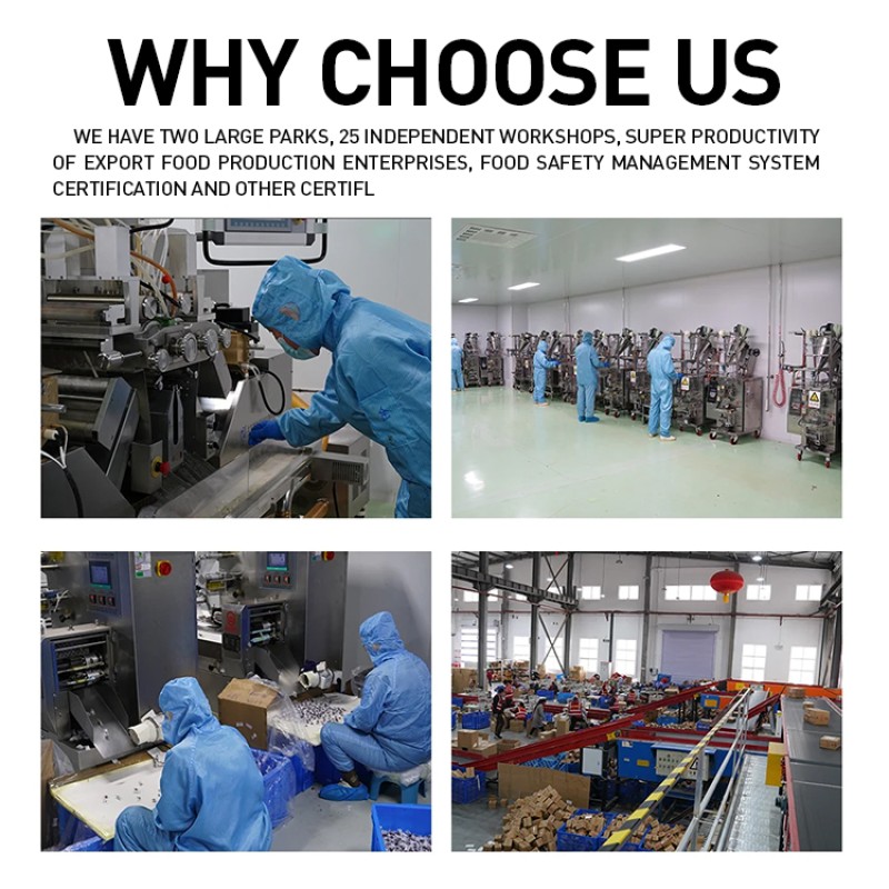 OEM Gummies Supplement Children's Multivitamin Gummies Supplement Vitamins and Minerals Gummy  Small Bear Candies