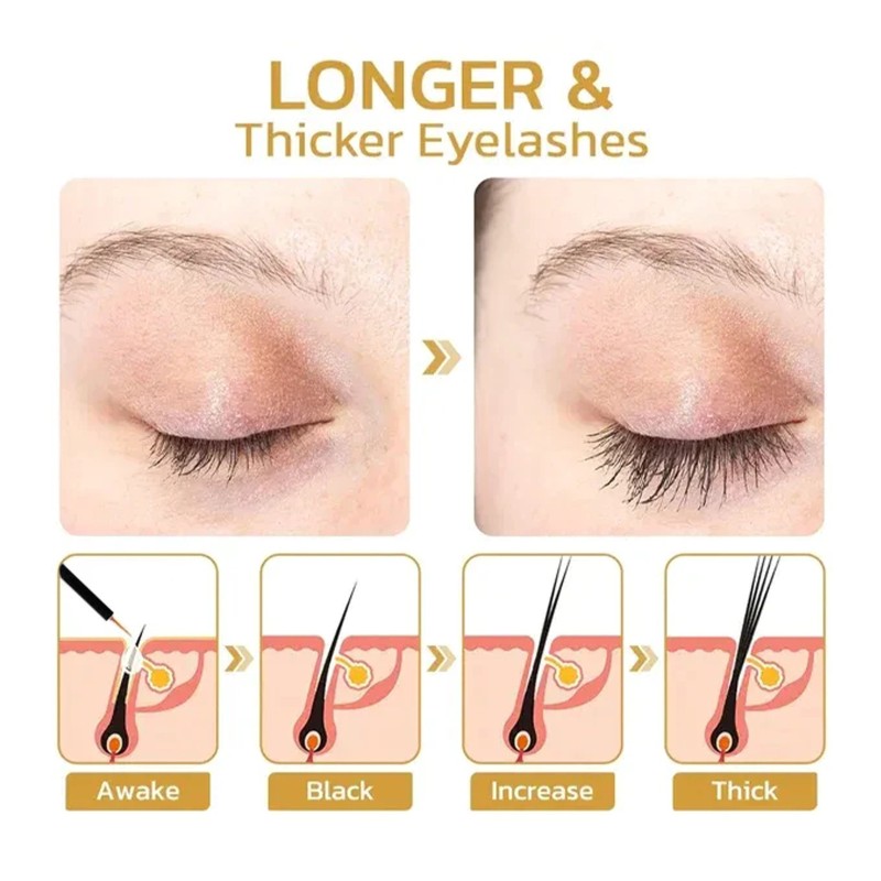 Essence Eyelash Factory - OEM Eelhoe Natural Long Black Thick Gentle Beautiful