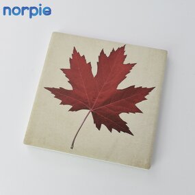 Ceramic Coaster Manufacturer - DIY Unglazed UV Printing Blank Coaster