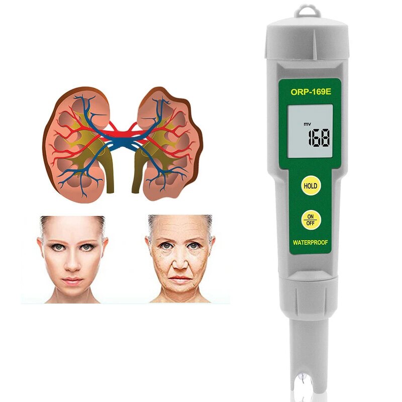 ORP Meter Factory - Handheld Digital Water Tester 0-1999mV Measurement