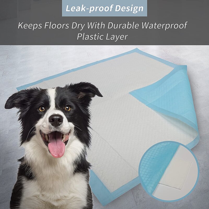 Pet Diaper Material Manufacturer - Super Absorbent Quick Drying Nonwoven