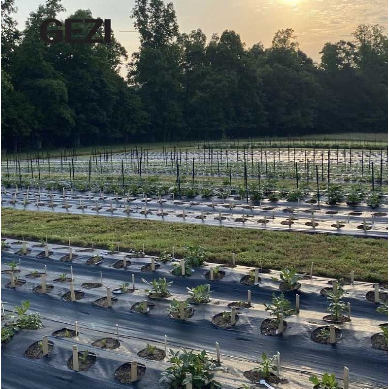 Spunbond Nonwoven Factory - Anti-UV Anti-Aging PP Fusible Ground Cover