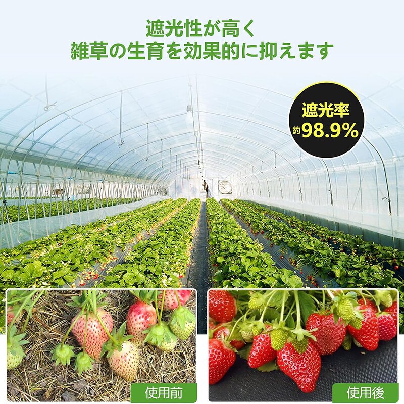 Landscape Fabric Manufacturer - Breathable Anti-UV Weed Mat Roll