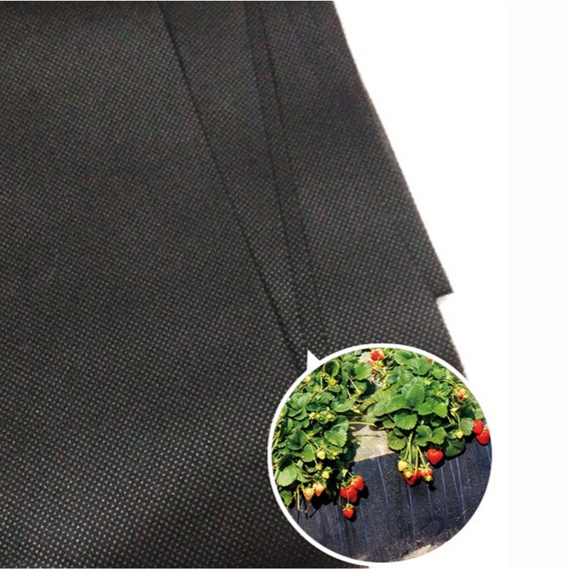 Non Woven Fabric Factory - 100% Virgin PP UV Resistant Tomato Weed Barrier
