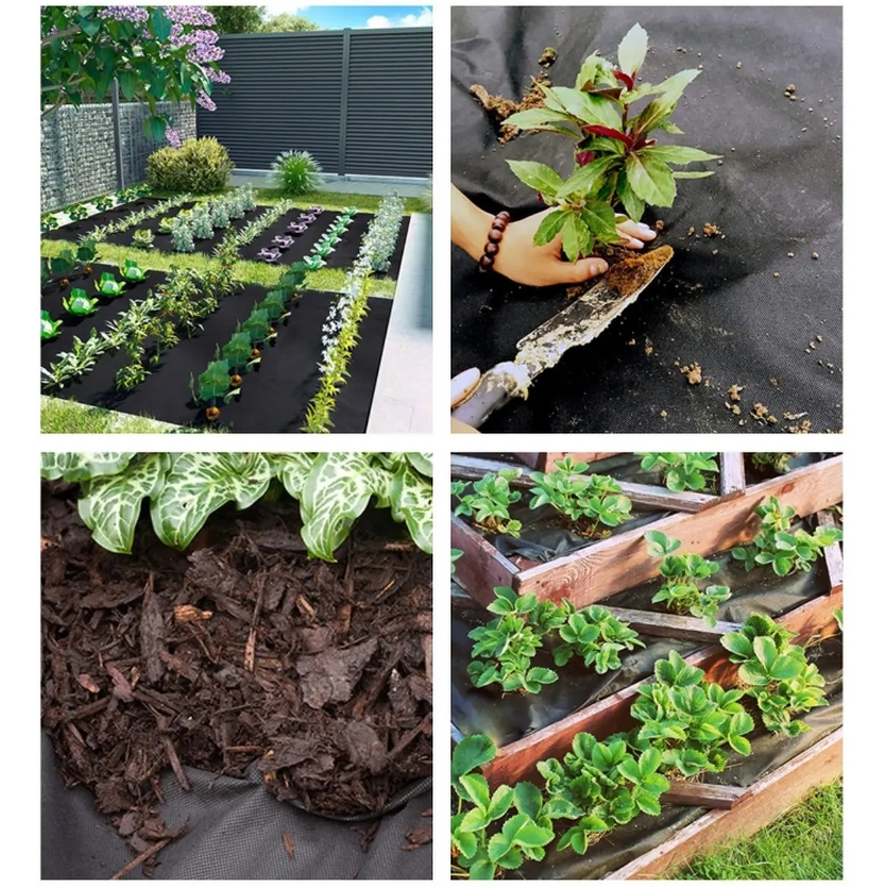 Non Woven Fabric Factory - 100% Virgin PP UV Resistant Tomato Weed Barrier