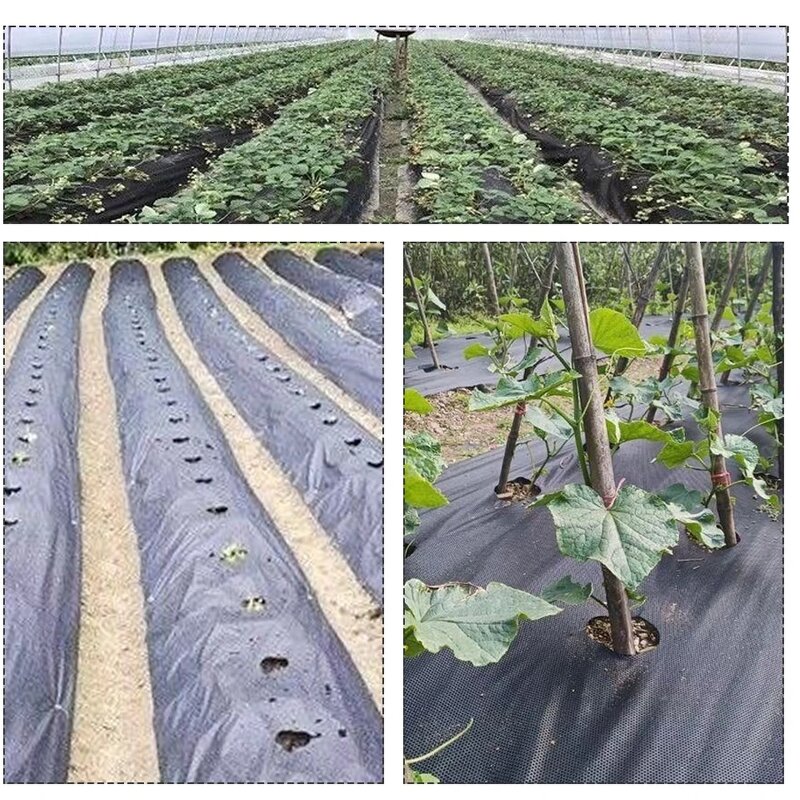 Degradable Ground Cloth Manufacturer - Weeds Control with Hole for Garden