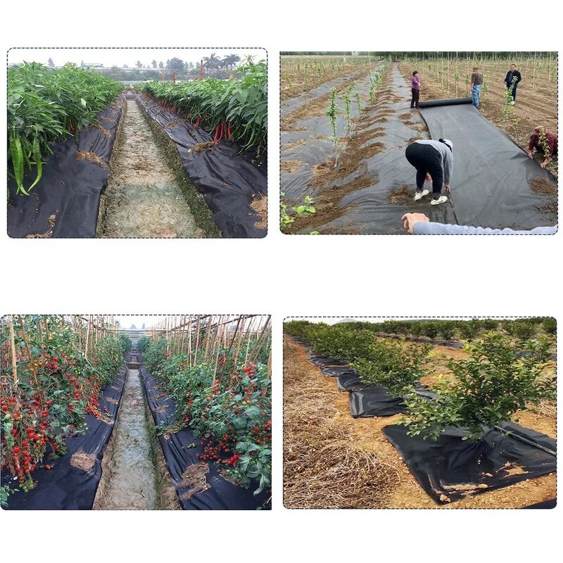 Weed Barrier Fabric Manufacturer - 40gsm Spunbond Ground Cover Garden