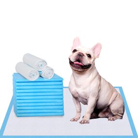 Pet Diaper Material Manufacturer - Super Absorbent Quick Drying Nonwoven