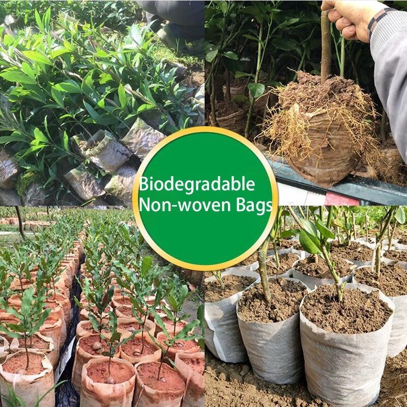 Biodegradable Grow Bag Factory - PLA Non-Woven Nursery Pot Aeration