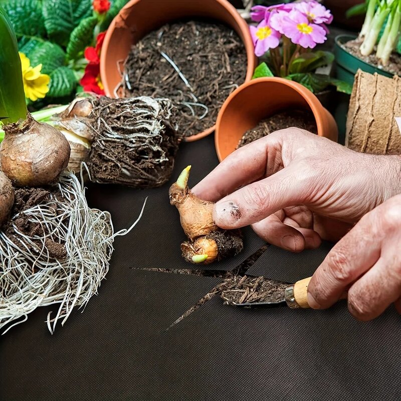 Spunbond Nonwoven Manufacturer - Heavy-Duty Black Garden Ground Cover