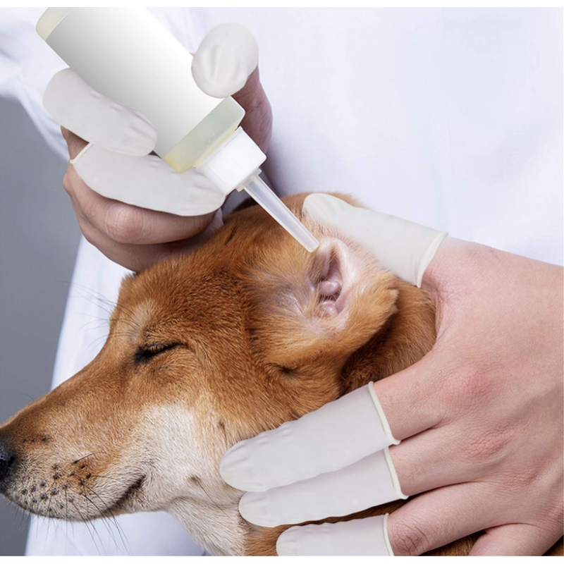 Finger-Cot Manufacturer - Wholesale Waterproof White Antistatic Natural Latex