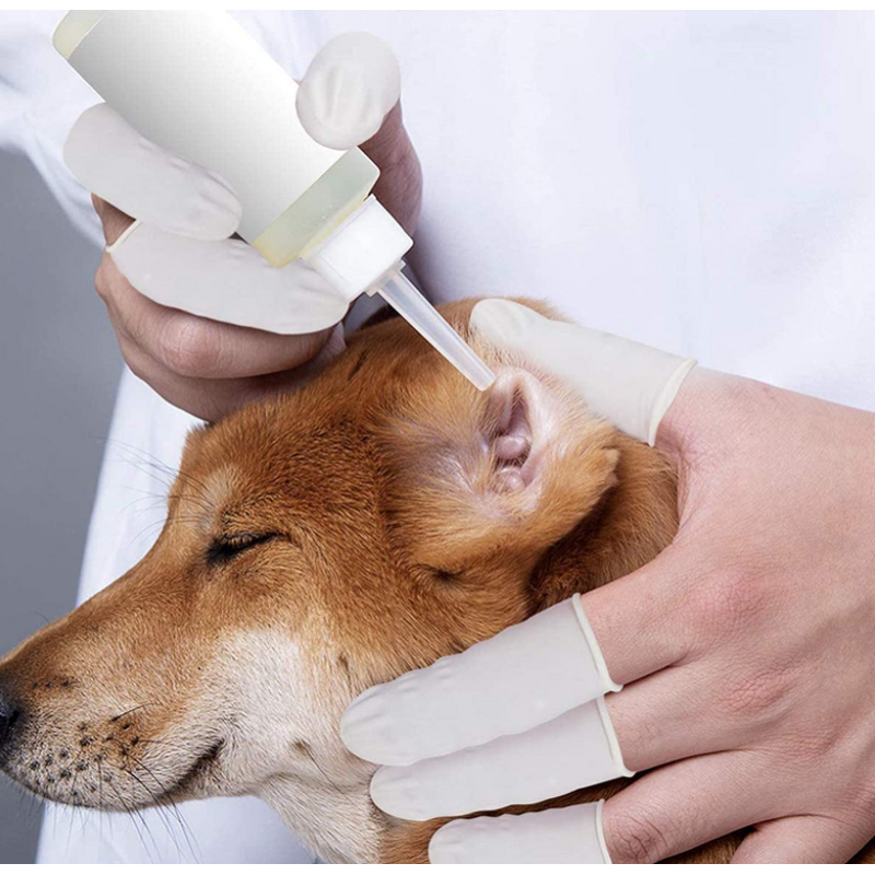 Anti-Static Finger Cots Factory - White Blue Orange for Electronic Repair