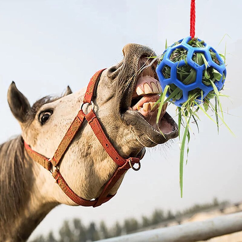 Horse Treat Ball Manufacturer - Hanging Feeding Ball for Horse Goat Sheep Stress Reliever